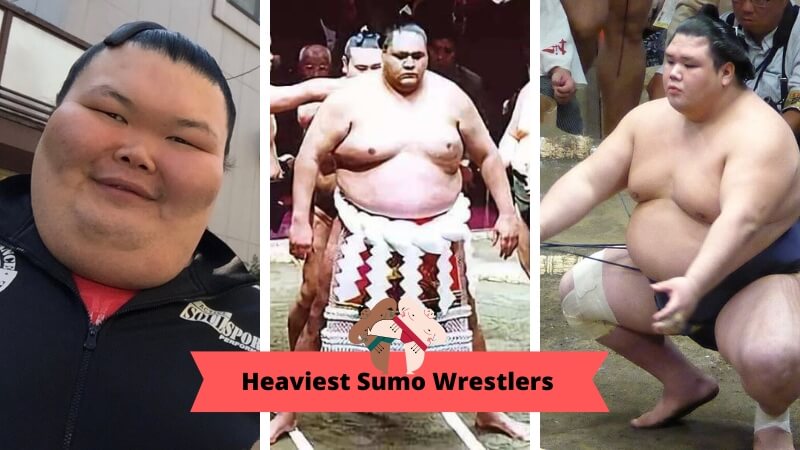 køn Lav et navn skuffe 25 Biggest Sumo Wrestlers. Heaviest Sumo Wrestler List | SportyTell